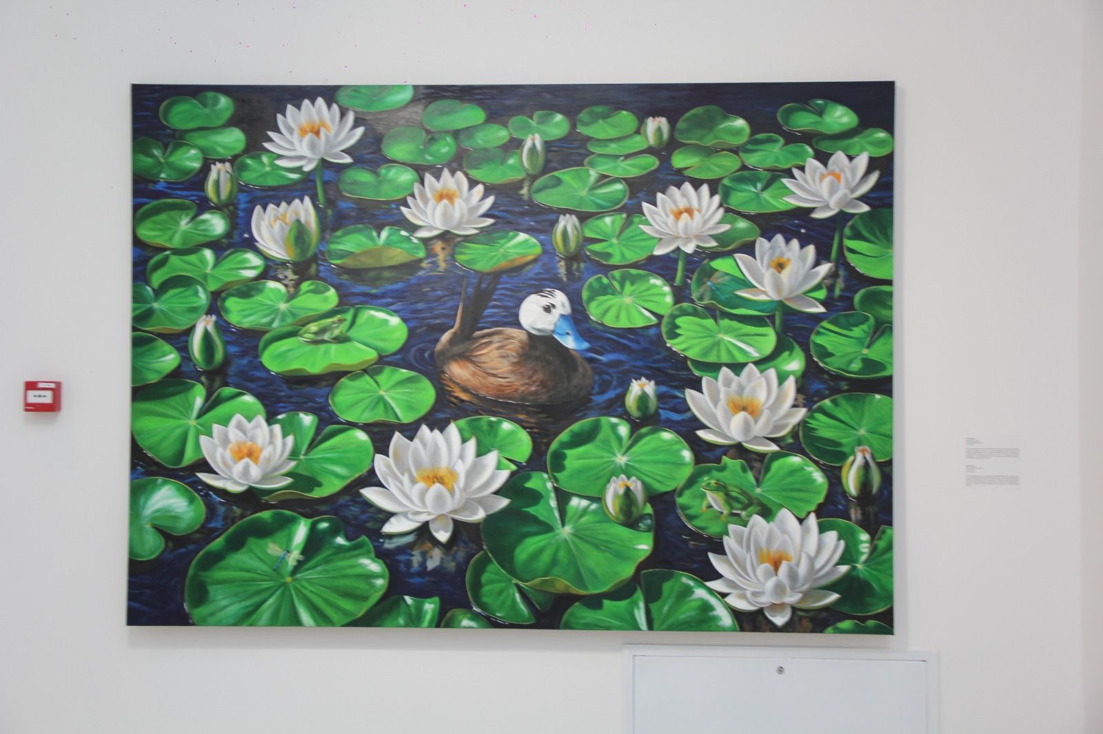 Slider Image 1