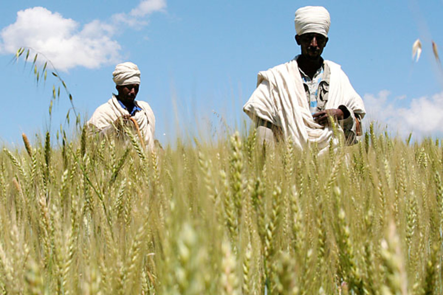 The African breadbasket