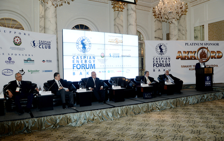 Baku hosts int'l Caspian Energy Forum – 2014