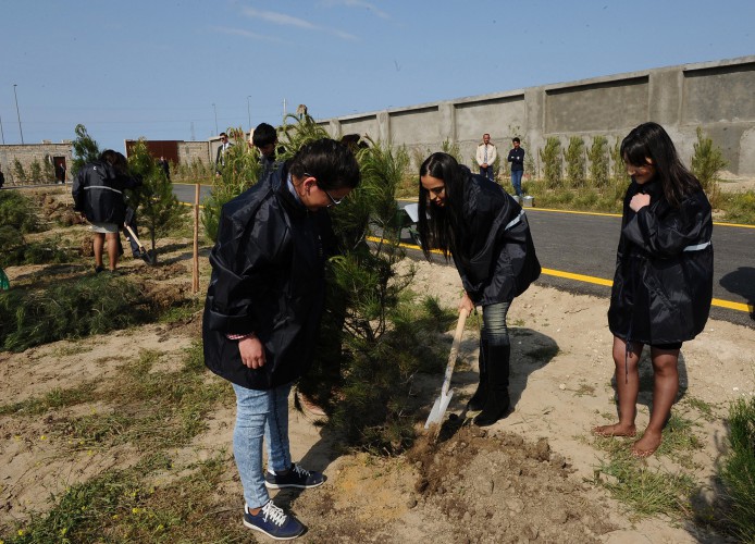 Green Marathon reaches its one-millionth tree