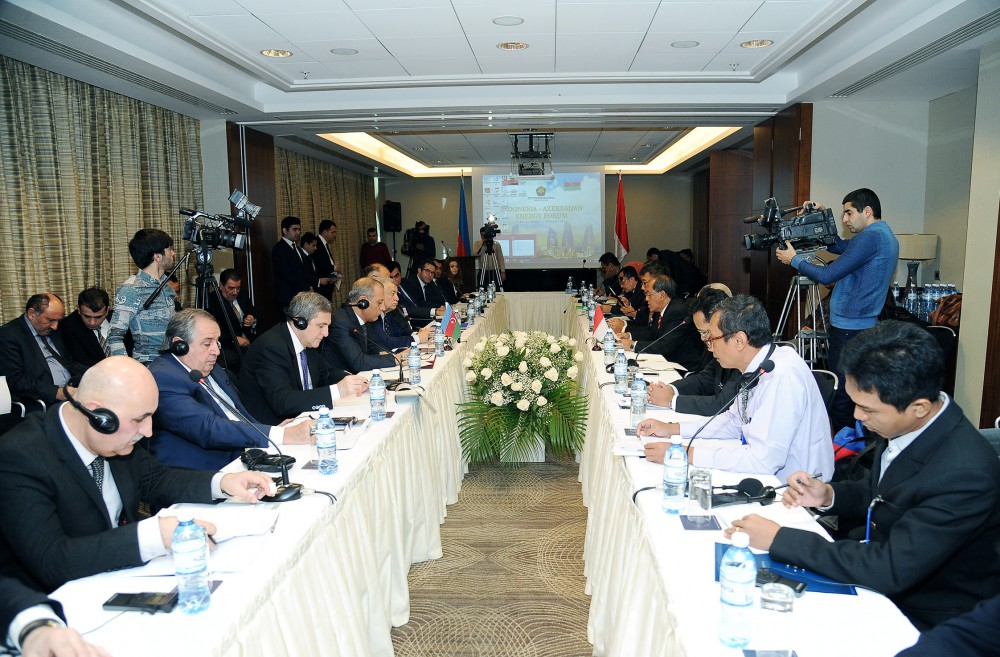 Azerbaijan ready to cooperate with Indonesia in energy sector