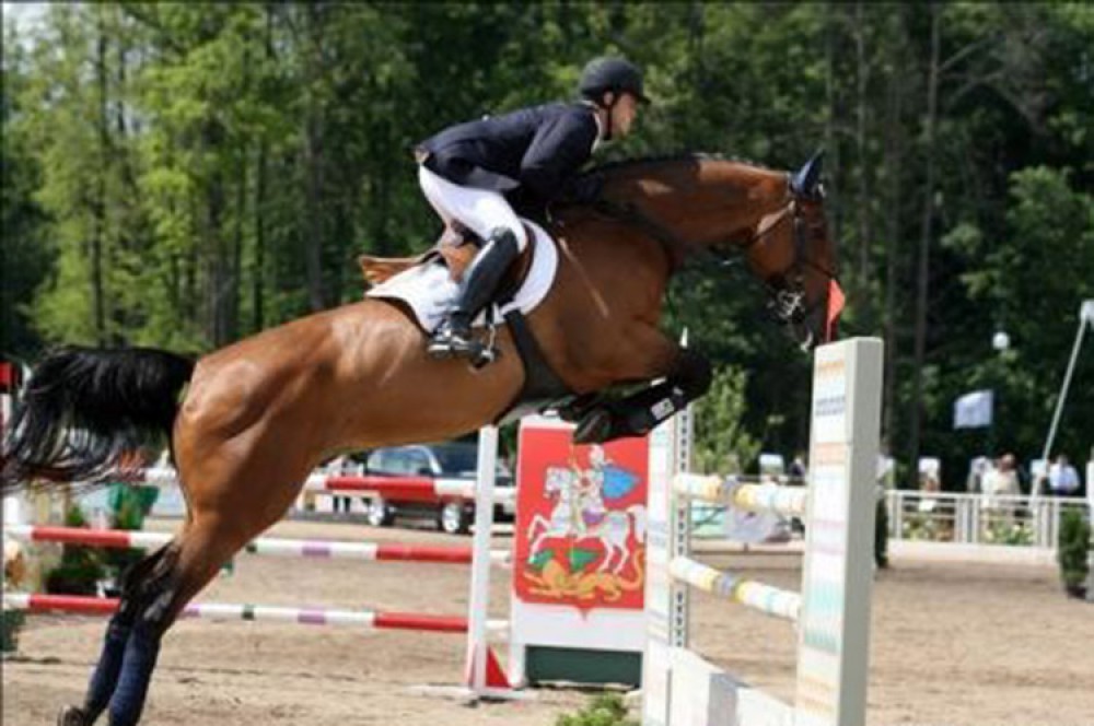 National jockey wins gold in equestrian tournament