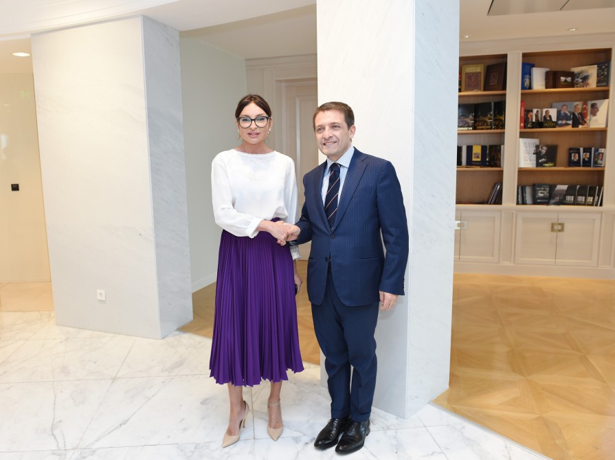 President of Heydar Aliyev Foundation holds several meetings