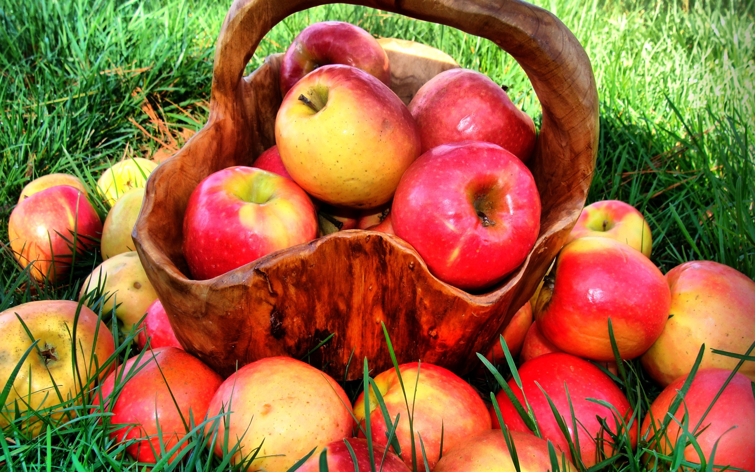 Azerbaijan, heaven of apples