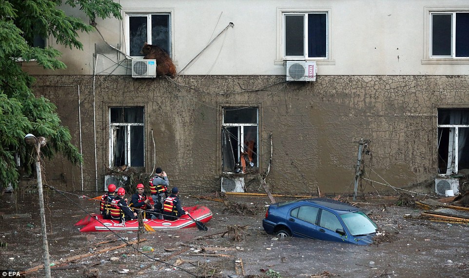 Flash flood kills 16 people in Georgia