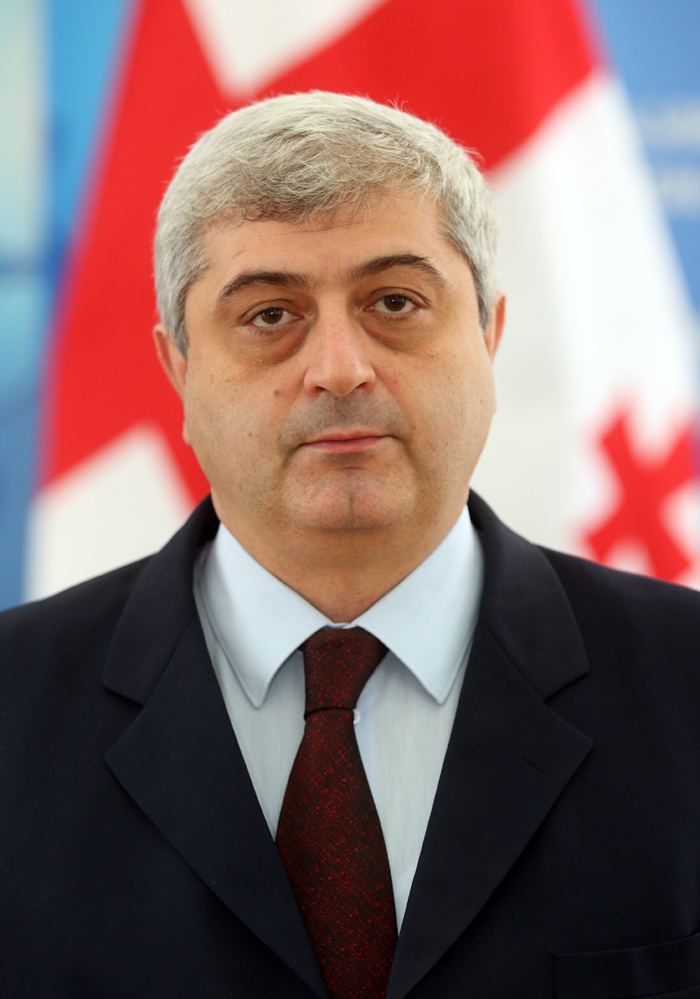 Georgia names new envoy to Geneva talks