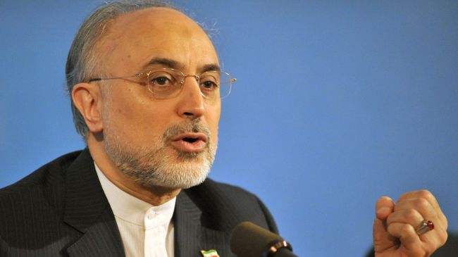 Iran offers to create regional organization on nuclear energy