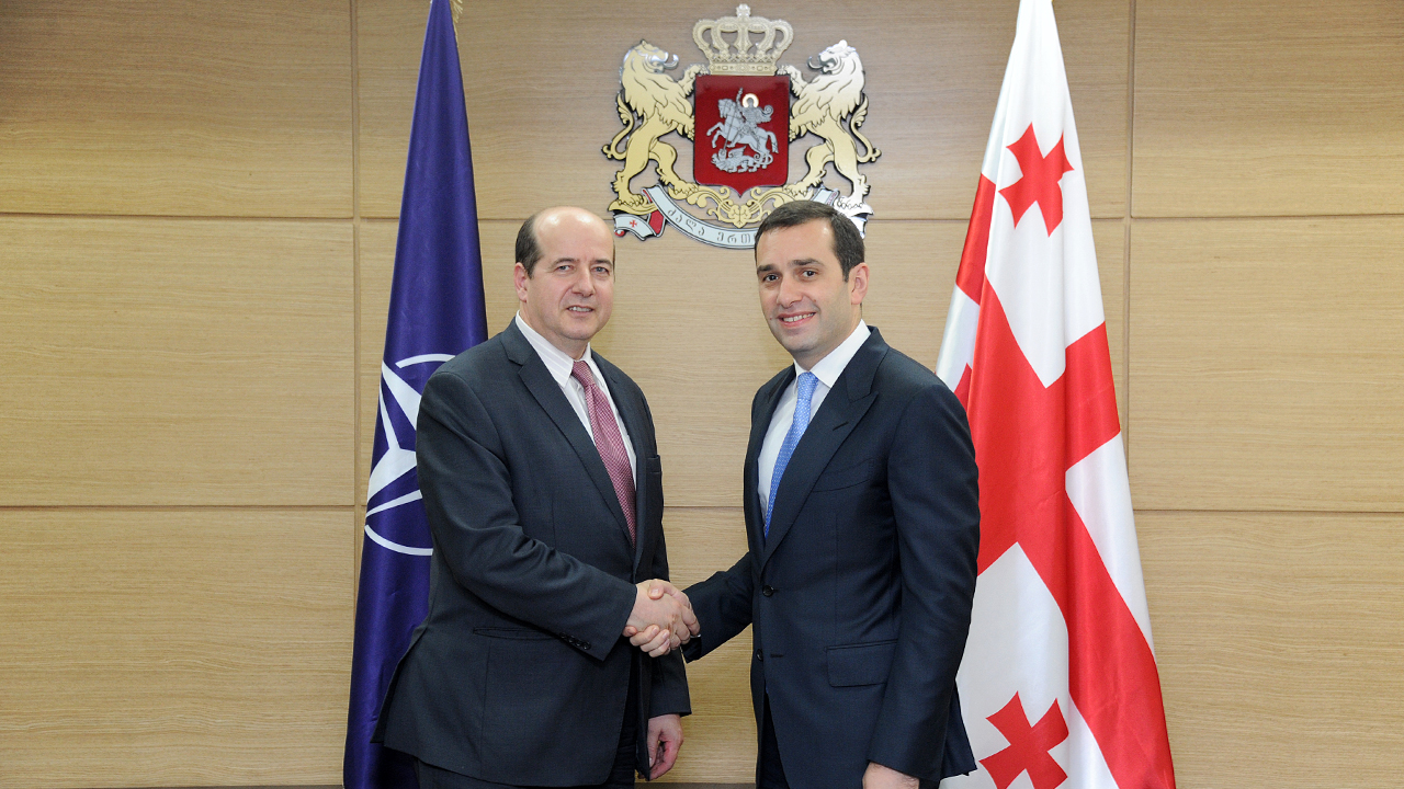 Georgia, NATO mull further cooperation
