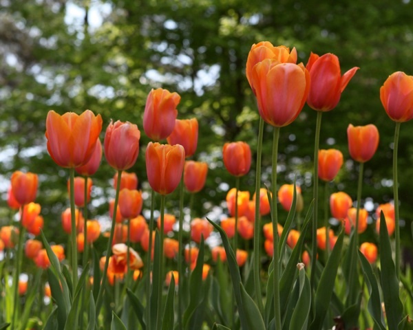 Warm April days approach after cold March