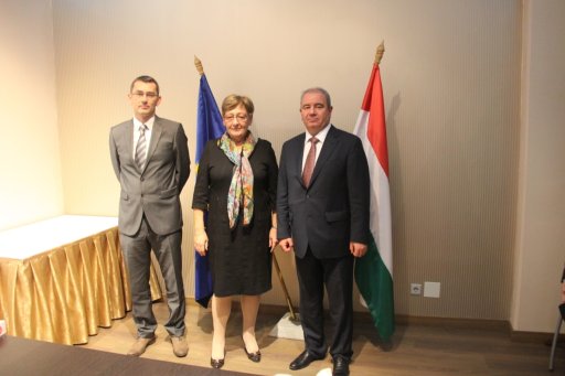 Azerbaijan, Hungary discuss IT cooperation
