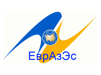 Draft project of Eurasian Economic Union to be ready by mid-2014