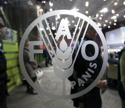 Opening of FAO offices discussed in Baku