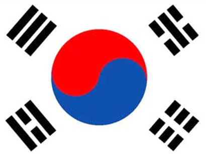 Georgian FM: South Korea may join GUAM