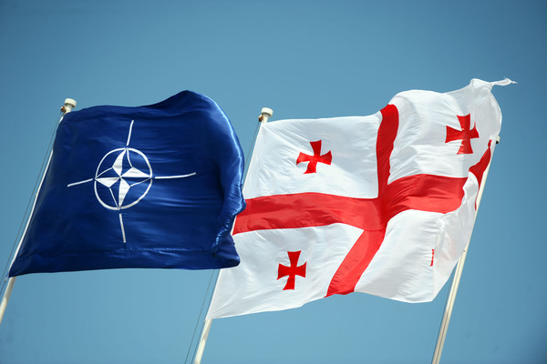 NATO PA President says NATO doors open for Georgia