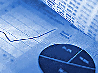 FDI in Turkey's economy down in 2012