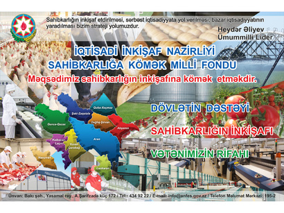 National Fund for Entrepreneurship Support named plans for 2014