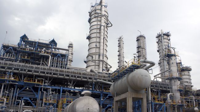 Iran's petrochemical plants may be forced to close over lack of exports