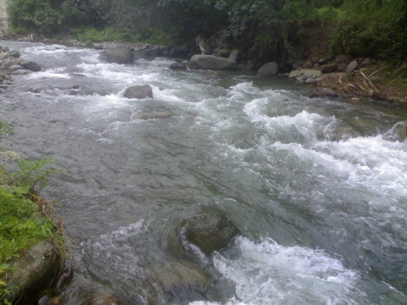 Biogenic substances amount above normal in Kur River