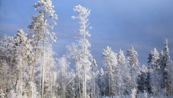 Global warming means more snow for Siberia - expert