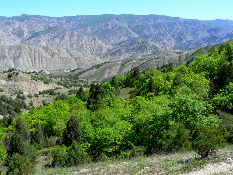 Italian scientists exploring Talysh Mountains