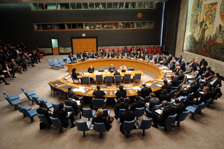 UNSC not optimal, needs reforms