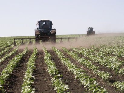 Kazakhstan ups crediting of agriculture