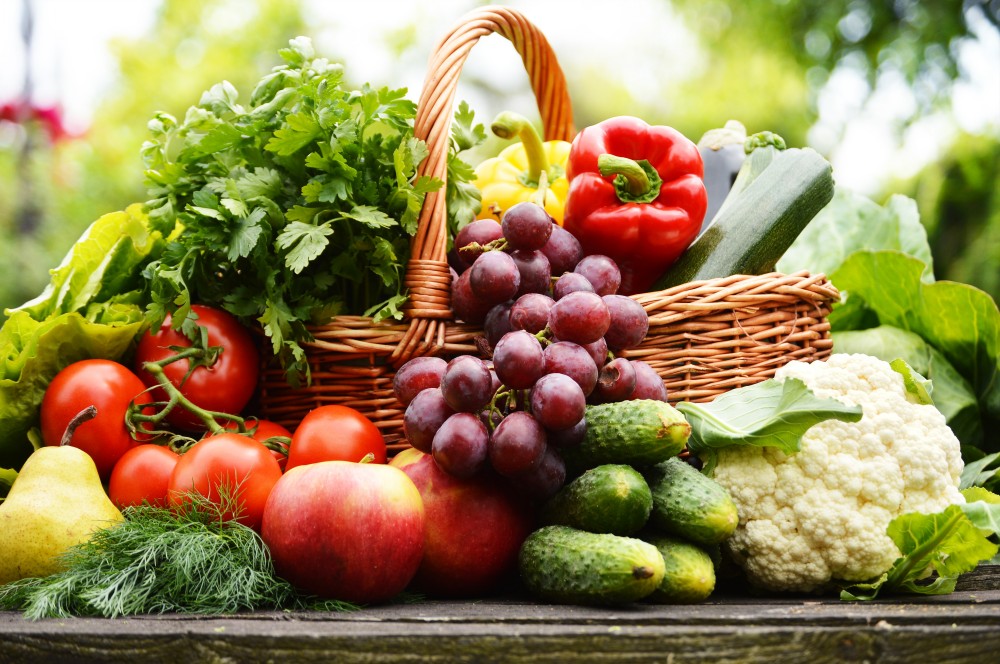 Organic food production may be launched in country