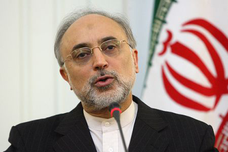 Iran says it needs more nuclear plants