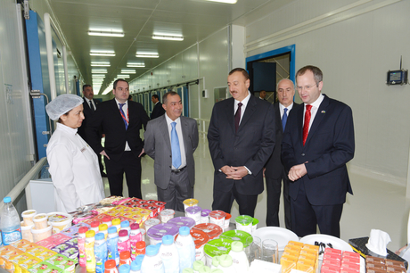 President Aliyev opens factories under AzFP CO LTD in Hokmali