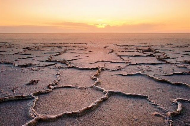 Aral Sea's shoaling problem important element for Turkmen-Tajik co-op