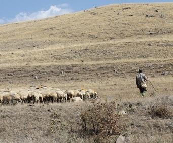 No life in Armenia: rural resident