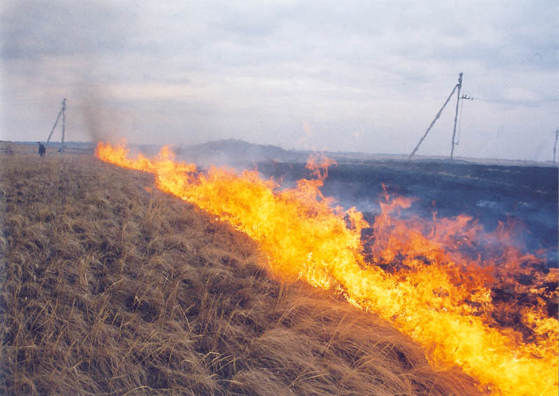 Armenians set fire to occupied Azerbaijani lands