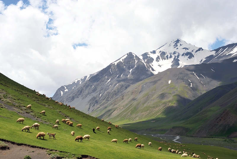 Azerbaijan among NatGeo nominations