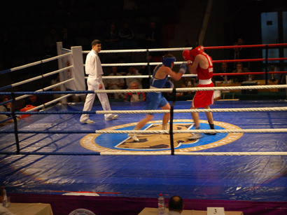 Azerbaijani boxers win 4 world medals