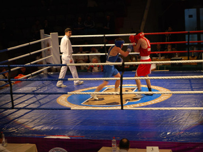 Azerbaijani boxer wins silver in Serbia