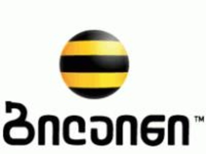 New CEO of Russian cell operator Beeline in Georgia appointed