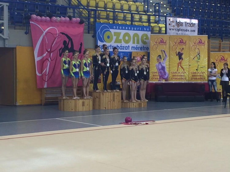 National gymnasts win 8 gold in Budapest