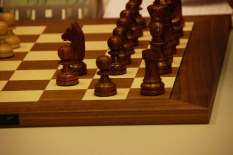 Azerbaijani chess player wins USA Open int'l tournament