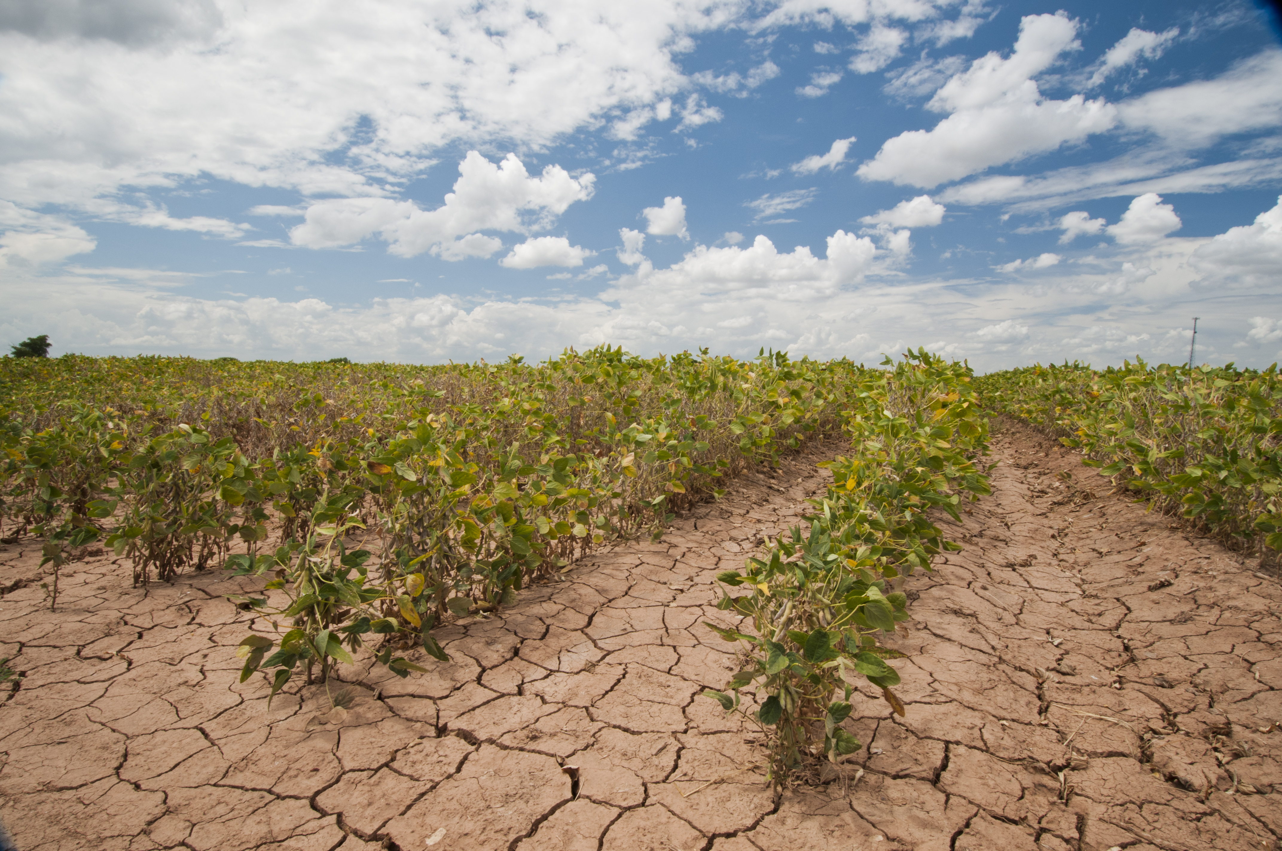 Climate change sets new challenges for Azerbaijan