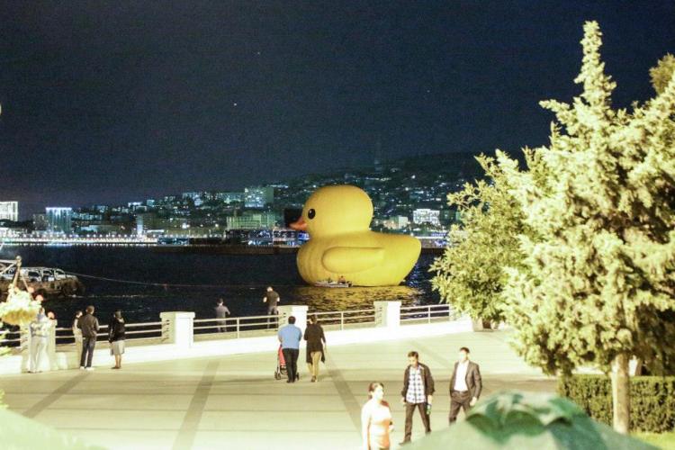 Rubber Duck finally appears in Baku