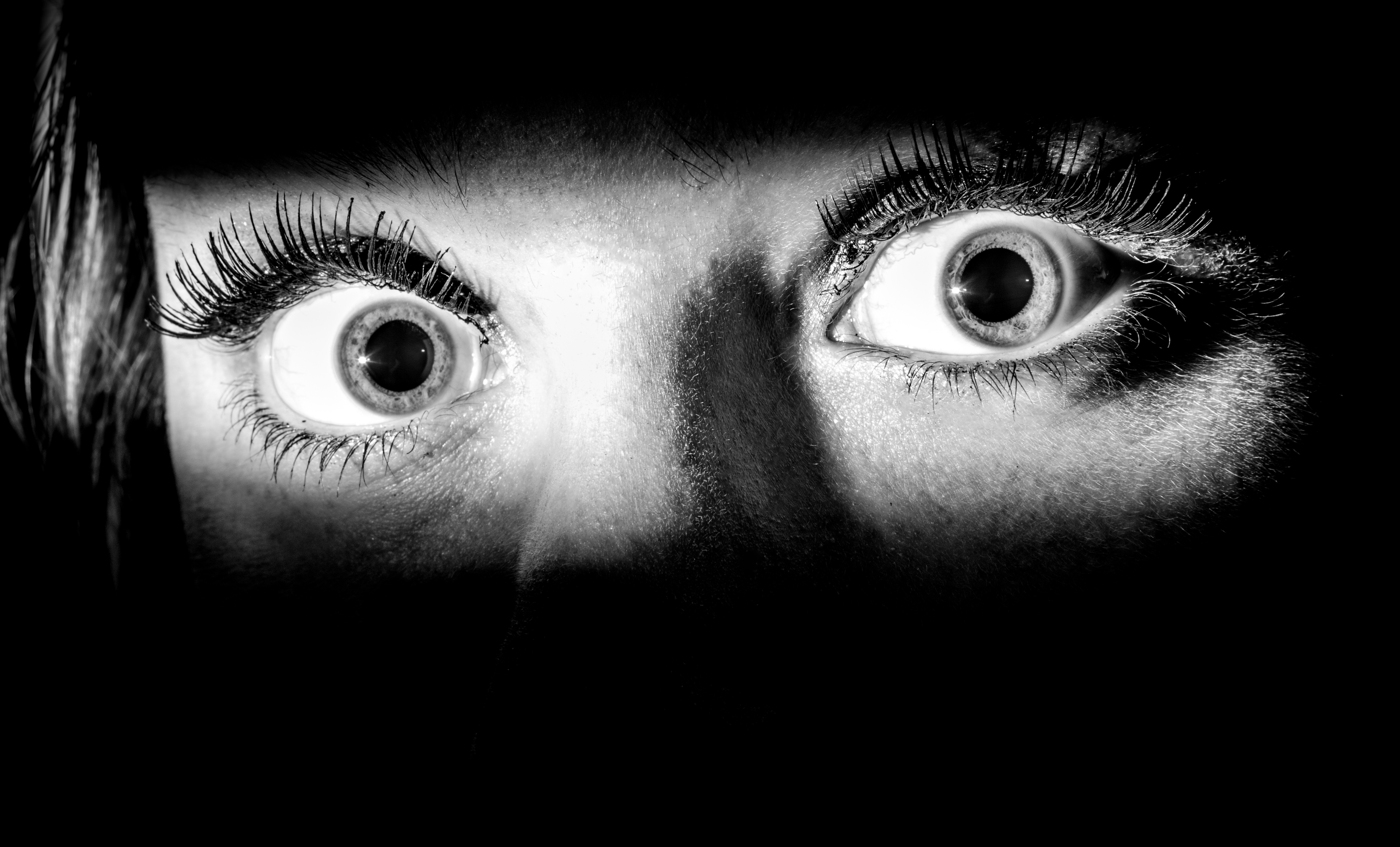 Fear factor drives the stock market's highs and lows