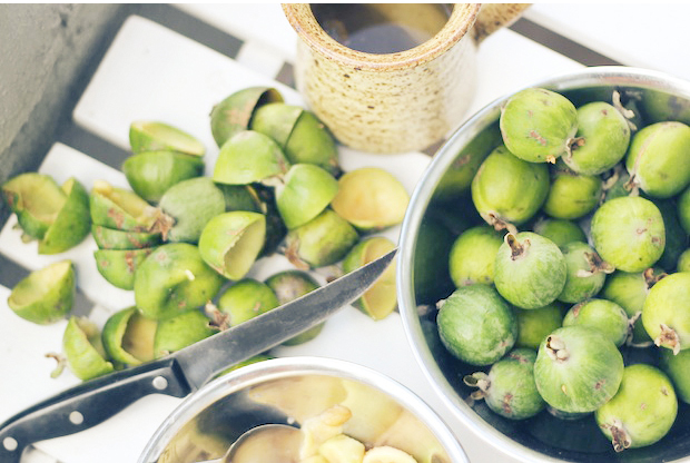 A sweet break from autumn chill