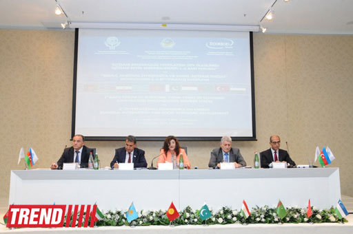 Azerbaijan supports creating think tank of ECO states