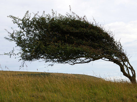 Strong winds hit capital city