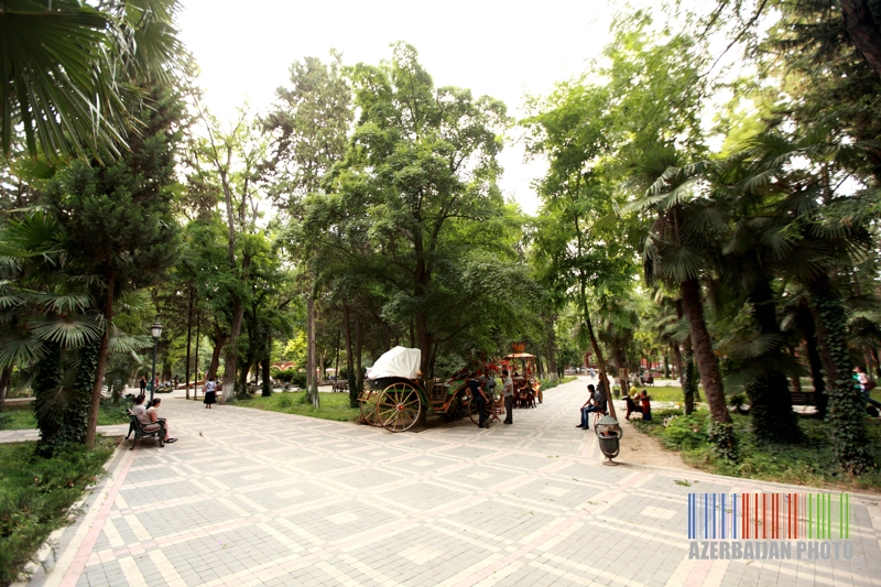 Ganja chosen as European Youth Capital 2016