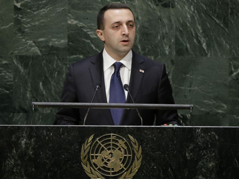 Georgia announces final decision on joining anti-ISIS coalition