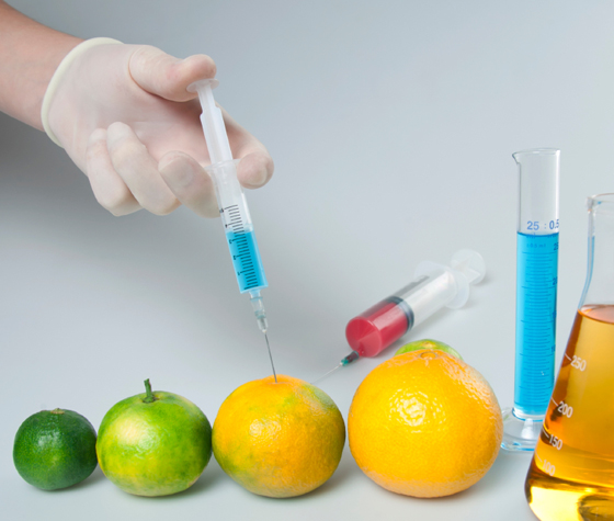GMO testing laboratory to open in Azerbaijan soon