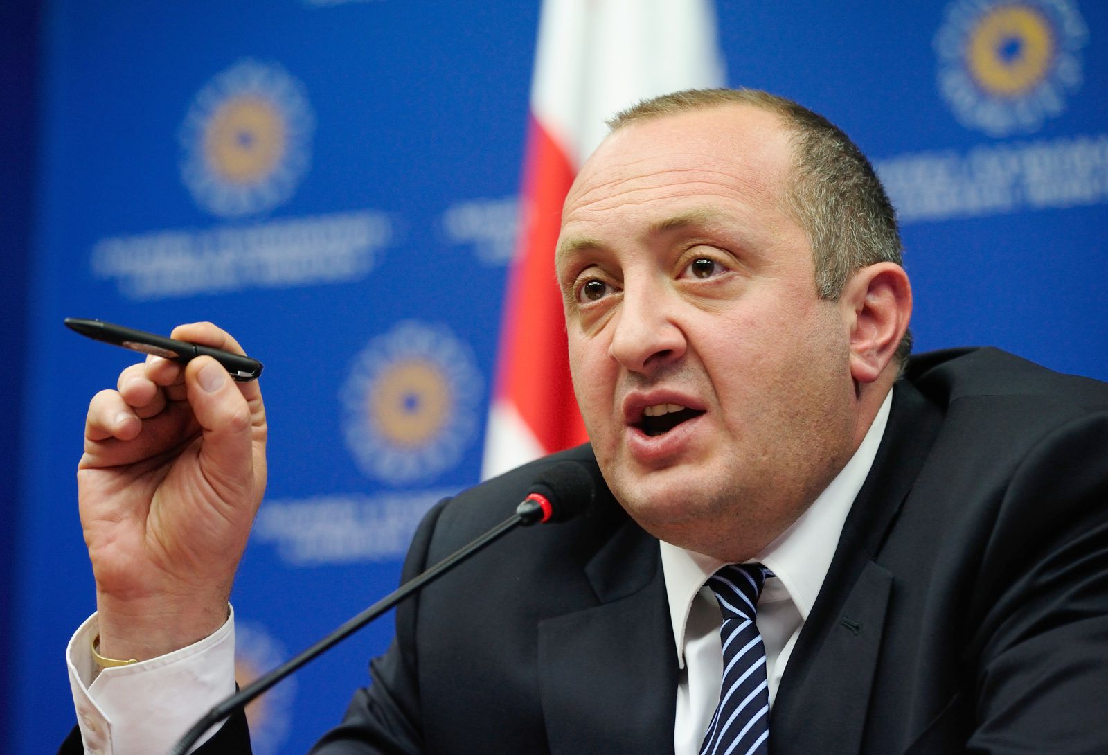 Georgia’s Margvelashvili hopes for support on NATO integration