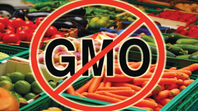 Azerbaijan to destroy GMO plants, food