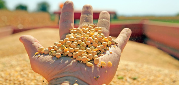 State backs development of seed farming